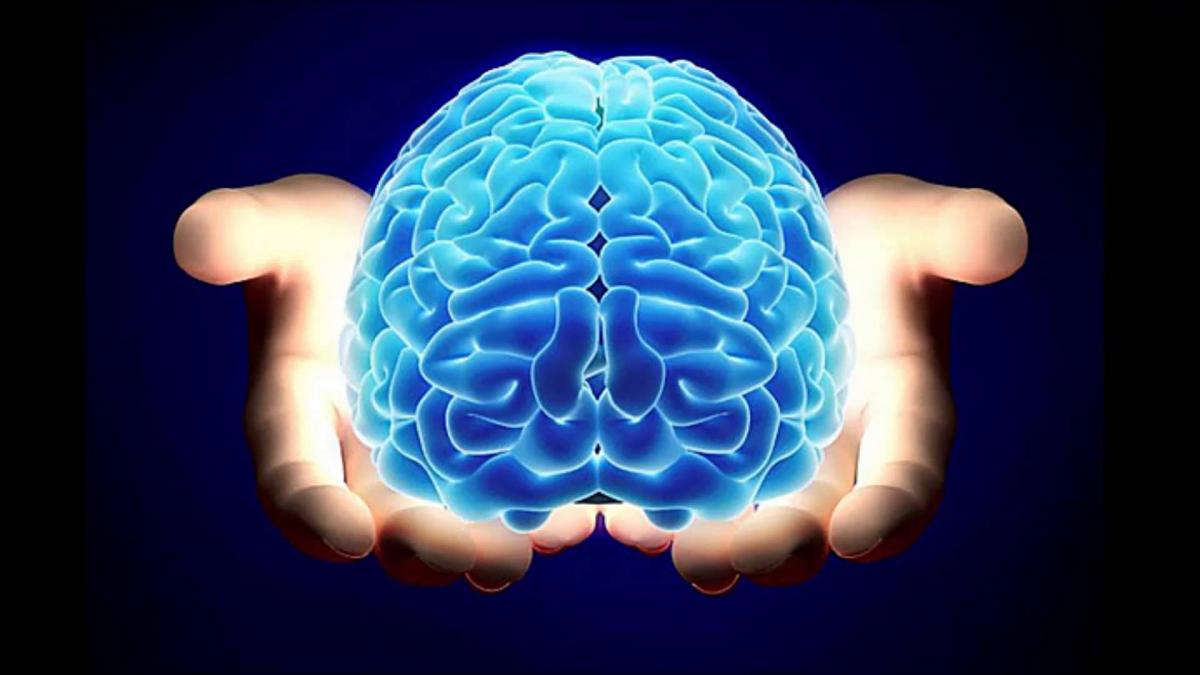 Encuentran una tenia en el cerebro de una mujer que iba a ser operada por un tumor