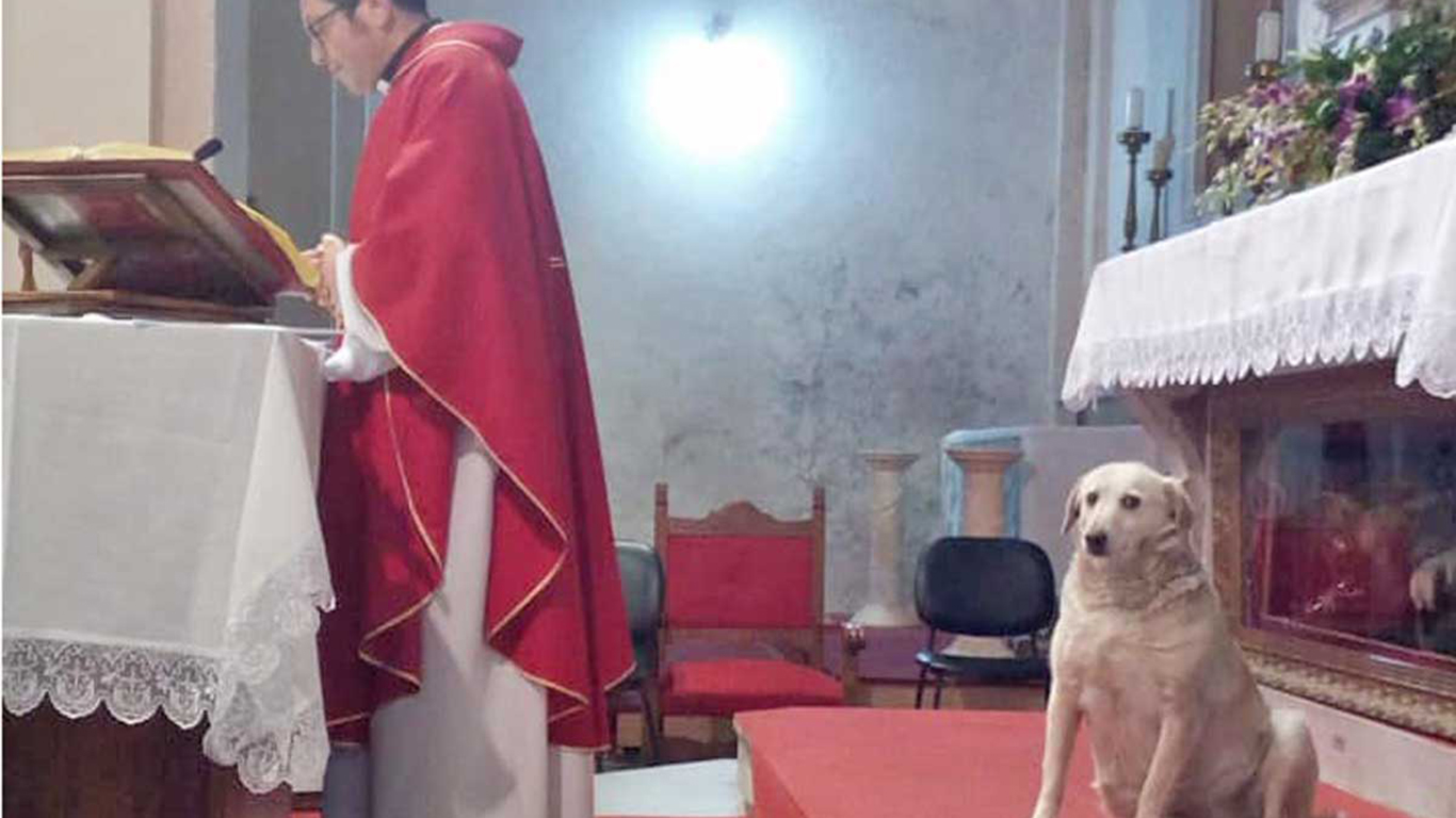 Frosinone, parroco celebra la messa con l'aiuto del suo cane