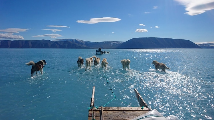 El cambio climático en Groenlandia y sus graves consecuencias se ven en una foto