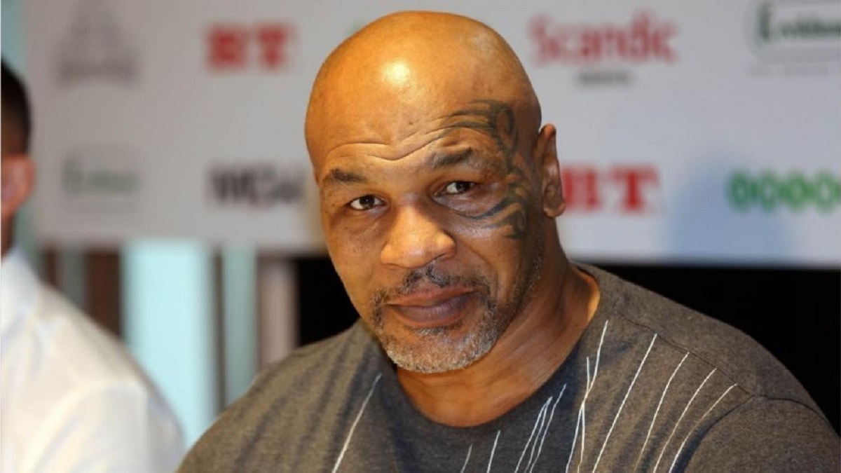 Boxer Gestorben 2020 Boxer Gestorben 2020
