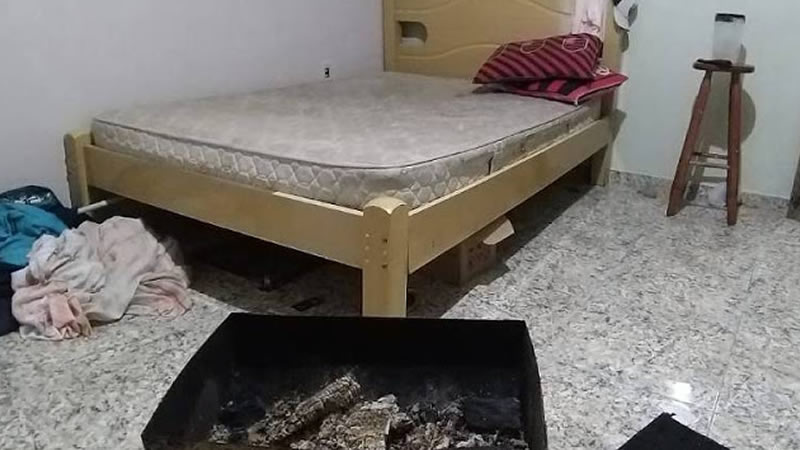 Três pessoas morrem após acenderem churrasqueira dentro de quarto