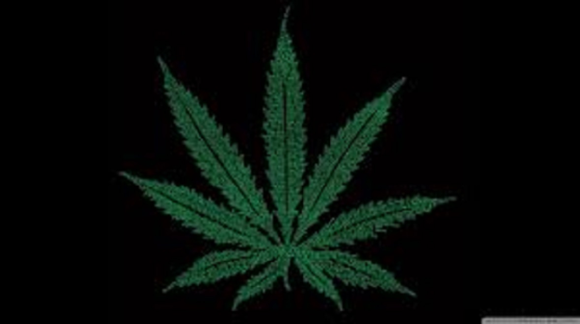 Il sert un gâteau au cannabis et son collègue tombe dans le coma