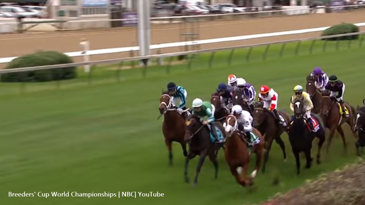 From the Kentucky Derby to the Breeders’ Cup World Championships horse fans stay happy