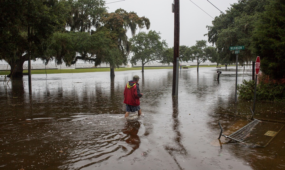 El huracán Barry trae a Louisiana fuertes inundaciones y peligrosas serpientes