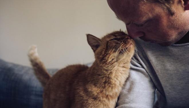 7 façon de dire je t'aime par les chats