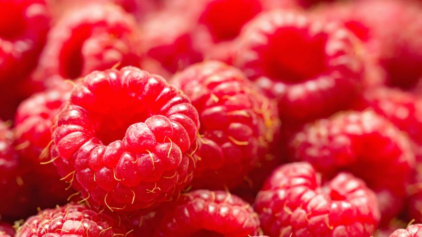 Beneficios para la salud que nos ofrecen las frambuesas