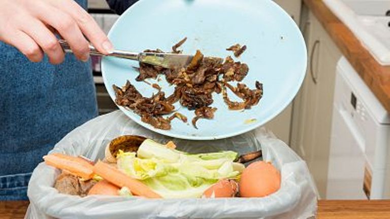 Cada año en España se tiran a la basura 1300 millones de kilos de comida