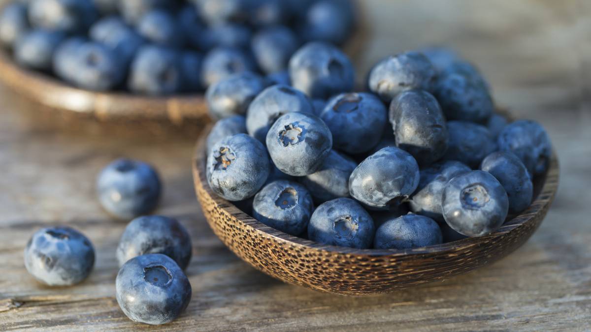 Seis beneficios que ofrecen los arándanos
