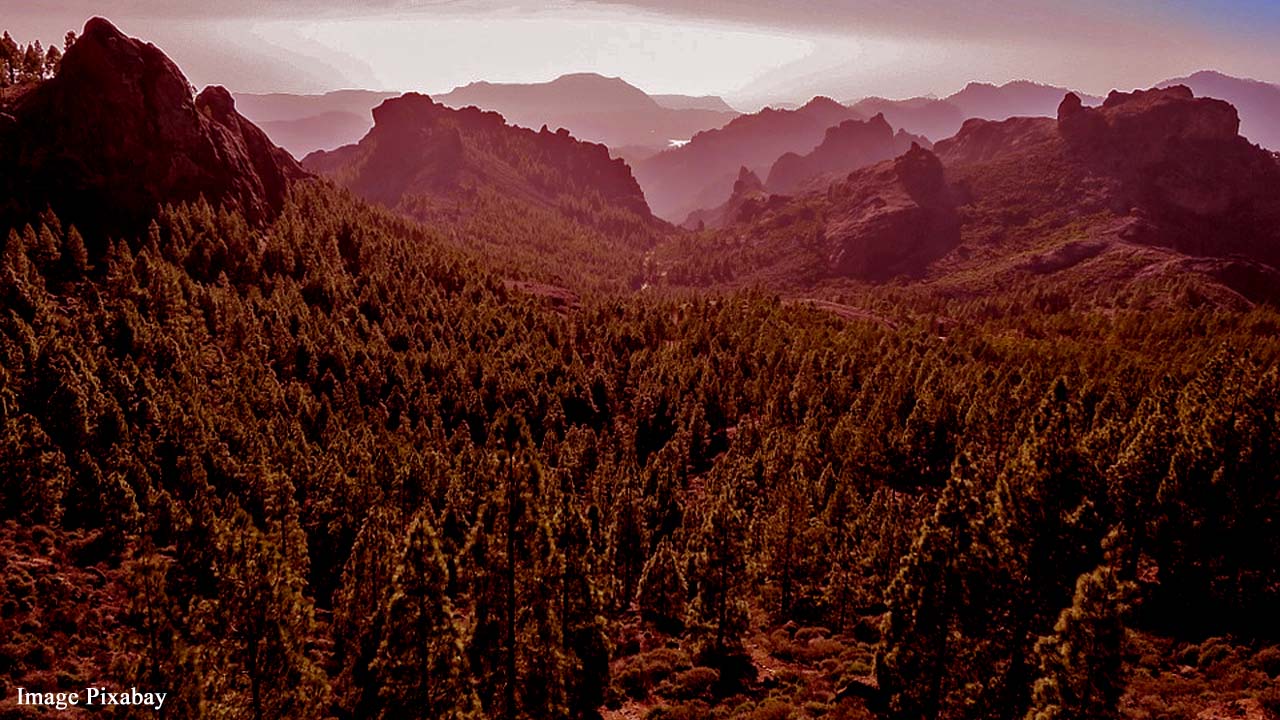 Gran Canaria, Spain: 4,000 people evacuated after second wildfire in one week