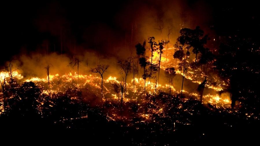 Bolsonaro diz que incêndios na Amazônia podem ter sido iniciados por ONGs