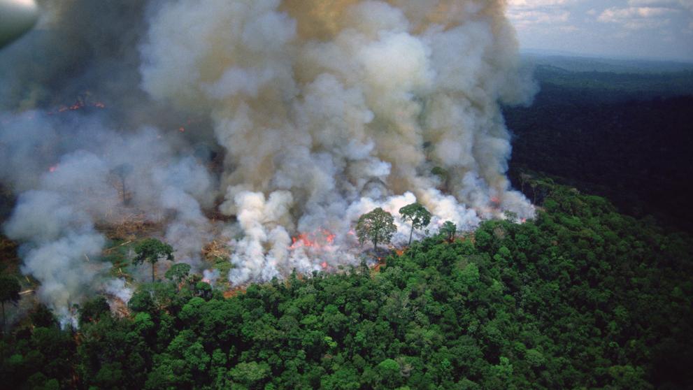 Jair Bolsonaro insinúa que las ONG pueden estar detrás del os incendios en el Amazonas
