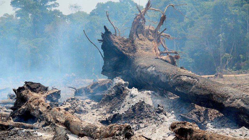 Presidente Jair Bolsonaro autoriza Forças Armadas na Amazônia para combater incêndios