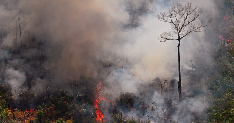 Los incendios en Europa serán tan devastadores como los del Amazonas según Marc Castellnou