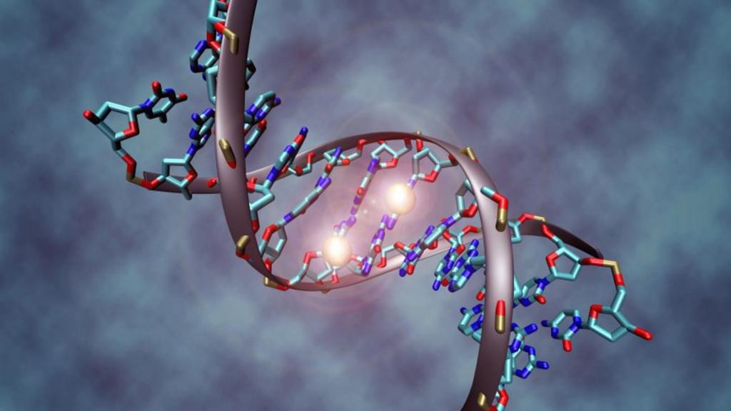 El gen gay es falso según un estudio del Laboratorio Europeo de Biología en Finlandia