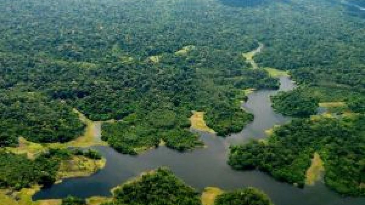 Integrantes da Amazônia Legal buscam retomar investimentos