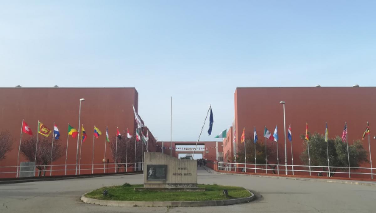 Cosenza, Università della Calabria, 20enne si toglie la vita gettandosi nel vuoto Cosenza, Università della Calabria, 20enne si toglie la vita gettandosi nel vuoto