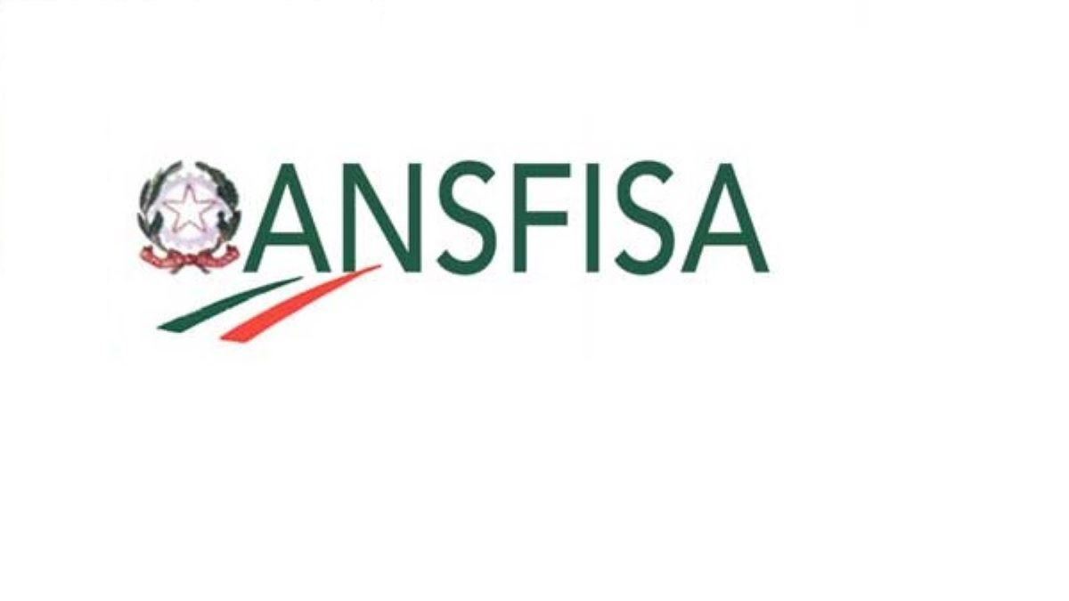 Concorsi Ansfisa assunzioni per dirigenti e funzionari